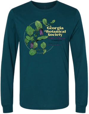 Long-sleeved 2024 Pilgrimage T-shirt