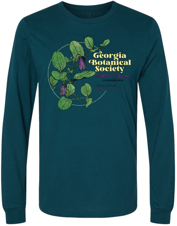 Long-sleeved 2024 Pilgrimage T-shirt